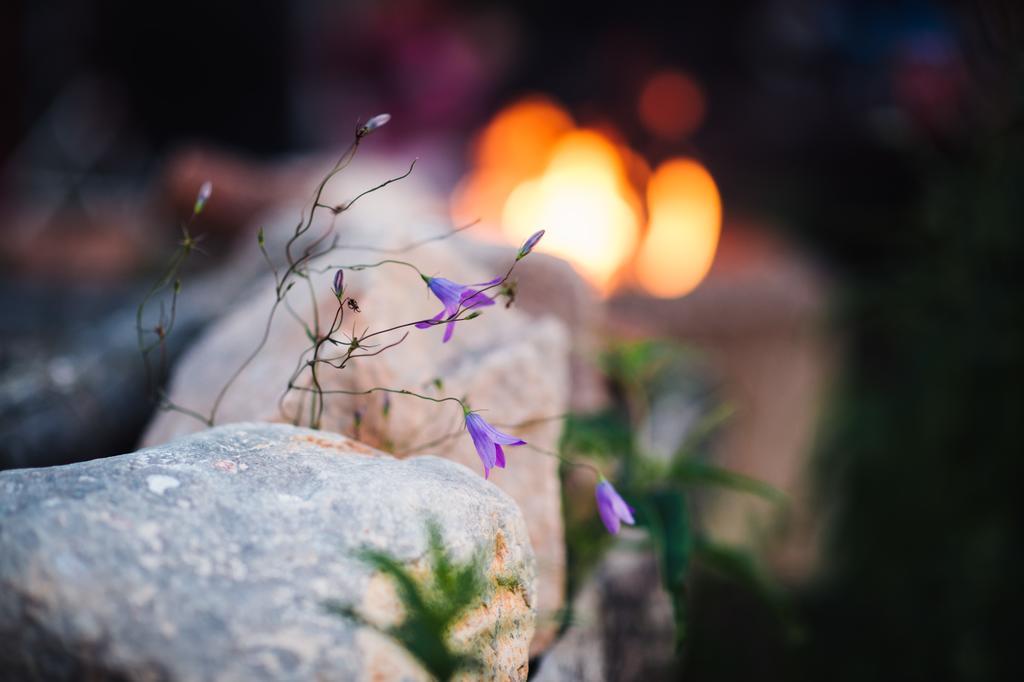 Stöllet Bjoerkebo Camping מראה חיצוני תמונה